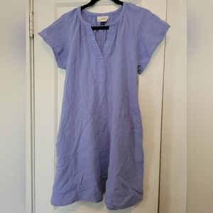 Universal Thread Flutter Sleeve Dress